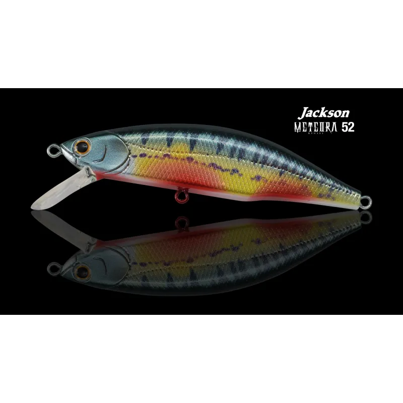 Jackson Meteora 6.3 cm – Poisson nageur coulant 7,5 g
