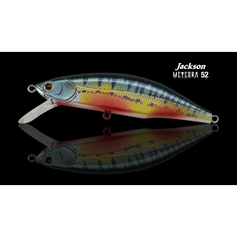 Jackson Meteora 6.3 cm – Poisson nageur coulant 7,5 g