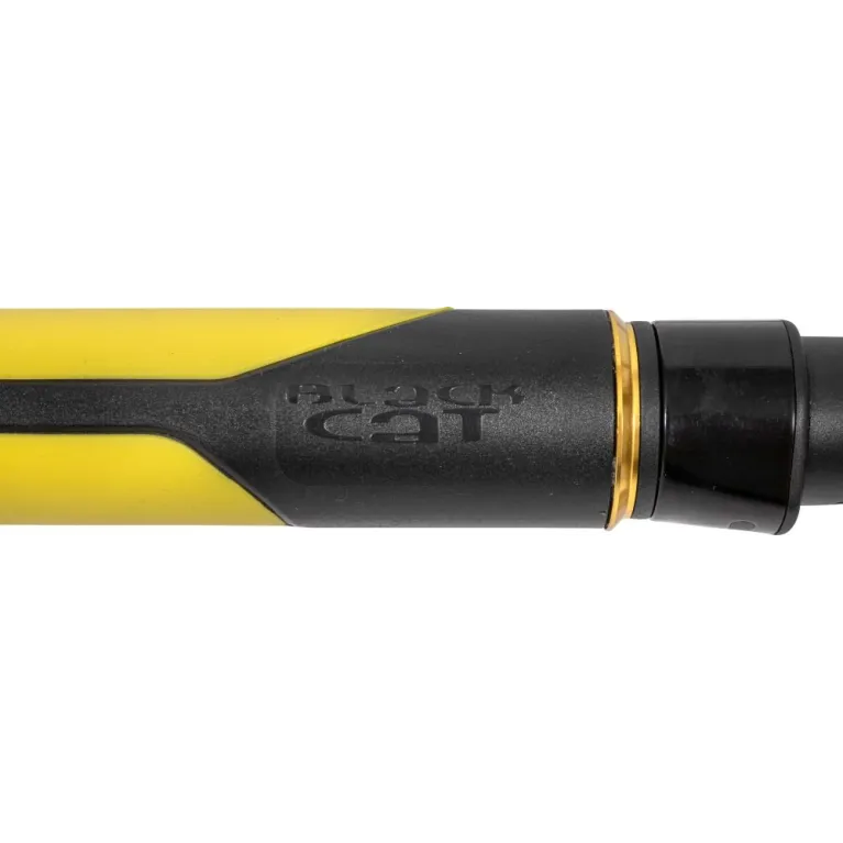 Black Cat Perfect Passion Vertical – Canne silure 1,80 m 230 g