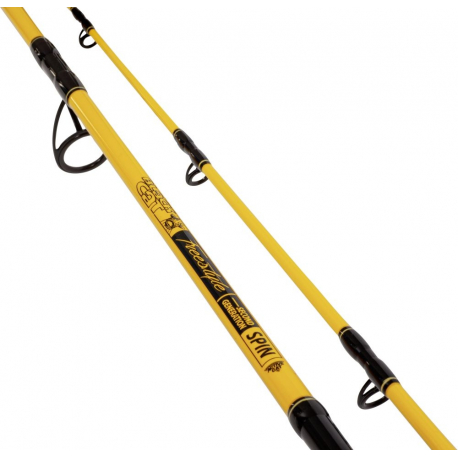 Black Cat Freestyle Spin 270 – Canne silure 2,70 m 50-150 g
