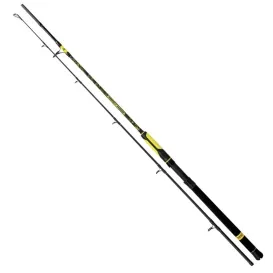 Black Cat Perfect Passion Spin 240 – Canne silure 2,40 m 50-190 g