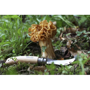 COUTEAU OPINEL A CHAMPIGNON N.8