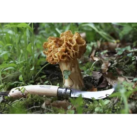 Opinel Champignon Inox N°08 – Couteau à champignons 72 mm