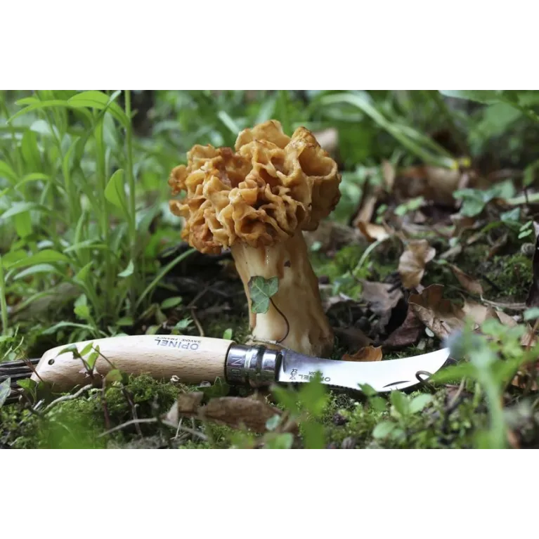 Opinel Champignon Inox N°08 – Couteau à champignons 72 mm