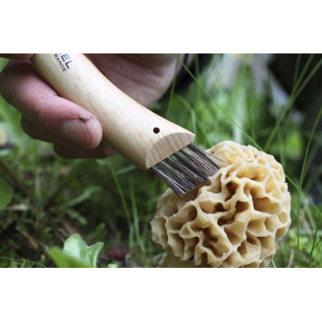 COUTEAU OPINEL A CHAMPIGNON N.8