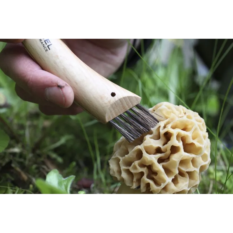 Opinel Champignon Inox N°08 – Couteau à champignons 72 mm