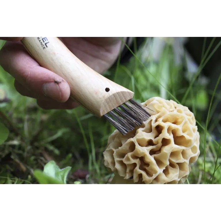 Opinel Champignon Inox N°08 – Couteau à champignons 72 mm