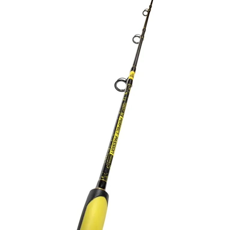 ENSEMBLE CANNE BLACK CAT PERFECT PASSION VERTICAL + MOULINET PENN PURSUIT IV ENSEMBLE CANNE BLACK CAT PERFECT PASSION VERTICAL + MOULINET PENN PURSUIT IV