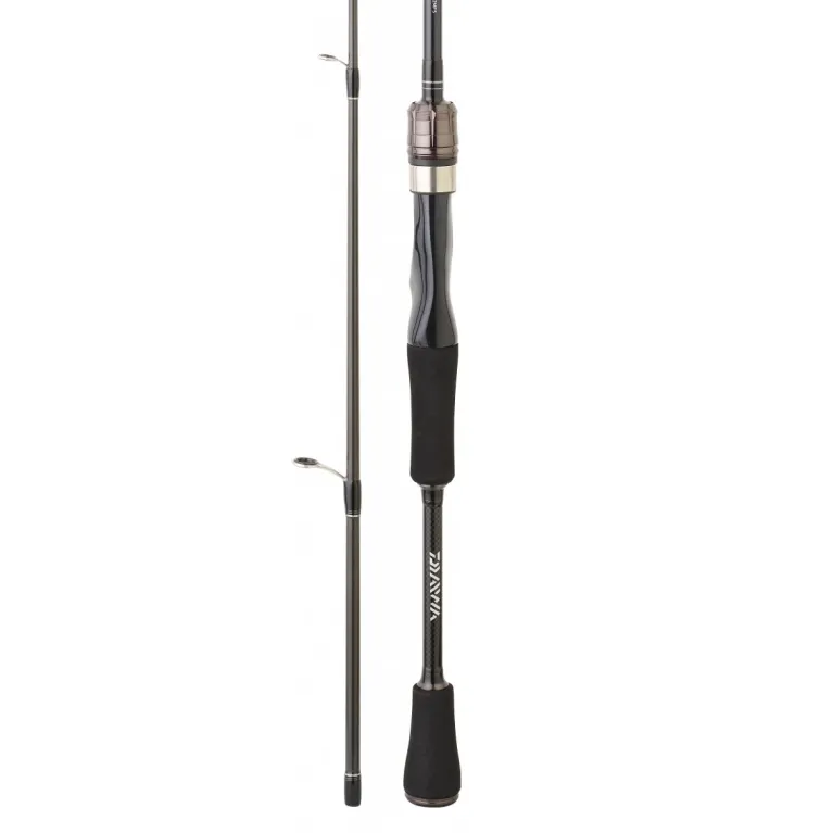 CANNE DAIWA SPINNING EXCELER II