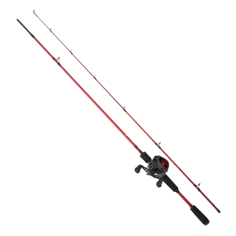 ENSEMBLE CASTING DAIWA PROCASTER 24