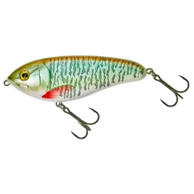 LEURRE ILLEX DEXTER JERK 100 S