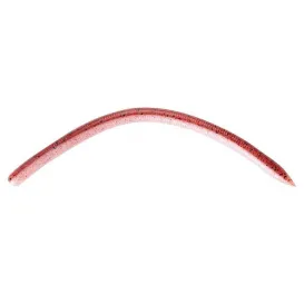 Reins Swamp Jr. 4,8" – Straight Worm 125 mm par 20