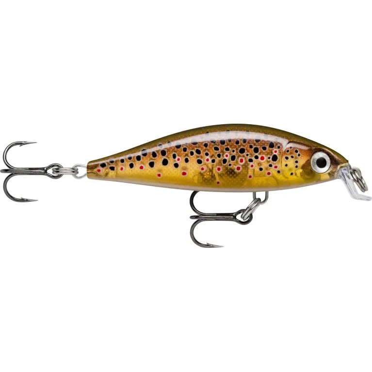 LEURRE RAPALA X-RAP COUNTDOWN 5 CM