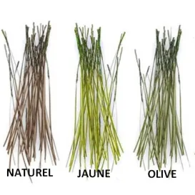 QUILL D'OEIL DE PAON EBARBE JMC