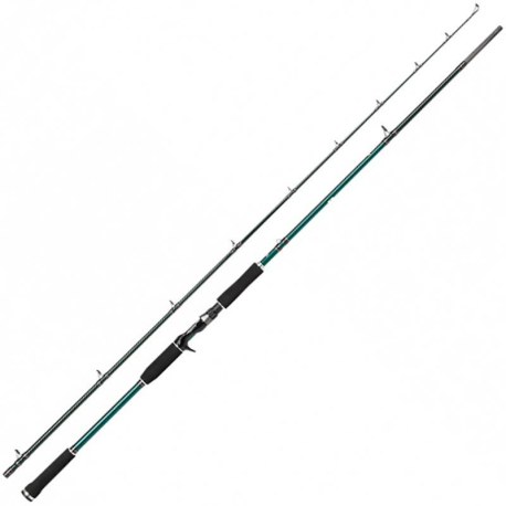 CANNE CASTING ABU GARCIA BEAST X PIKE 802 XXH