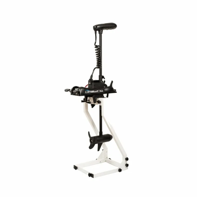 Haswing Cayman B 55 lbs GPS G1.6 – Moteur électrique 12 V