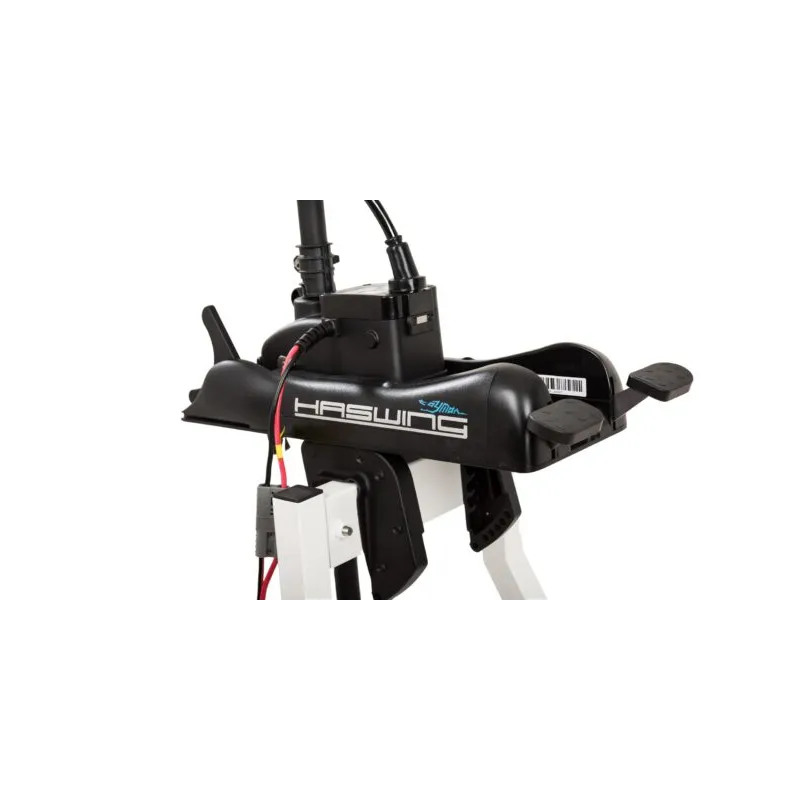 Haswing Cayman B 55 lbs GPS G1.6 – Moteur électrique 12 V