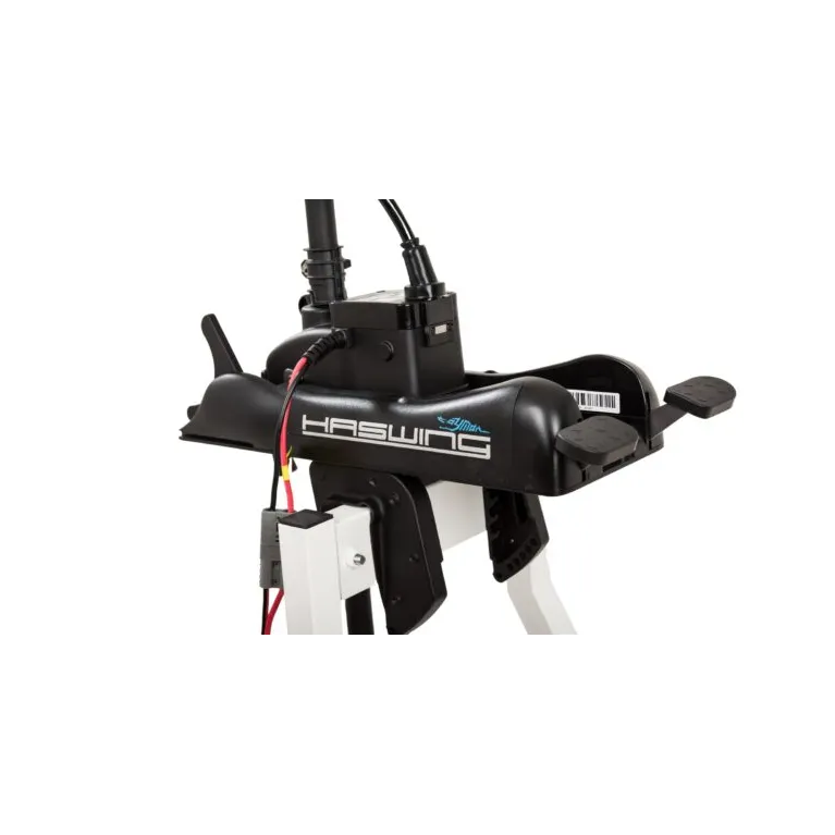 Haswing Cayman B 55 lbs GPS G1.6 – Moteur électrique 12 V