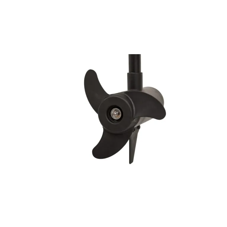 Haswing Cayman B 55 lbs GPS G1.6 – Moteur électrique 12 V
