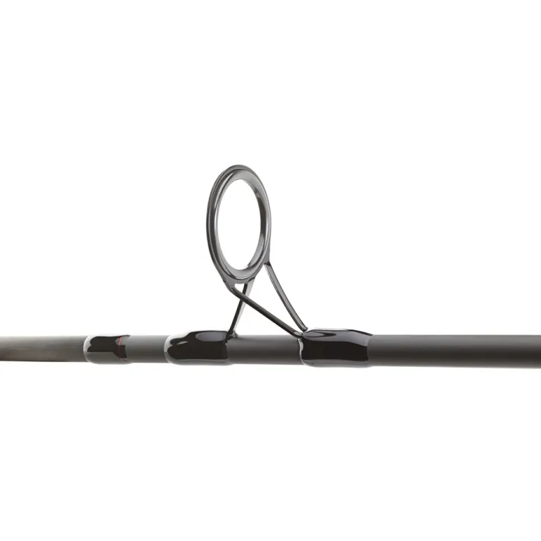 CANNE CARPE DAIWA BLACK WIDOW 24 12' 3LBS