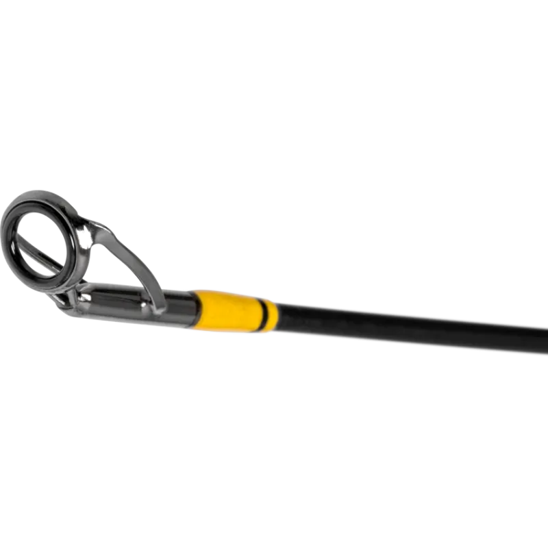 ENSEMBLE  BLACK CAT CANNE FREESTYLE PRO CASTING 220 + MOULINET CAST 301 LH