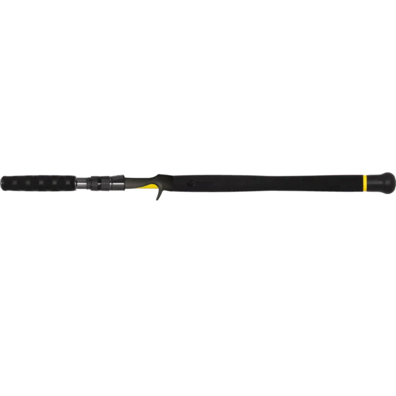 ENSEMBLE  BLACK CAT CANNE FREESTYLE PRO CASTING 220 + MOULINET CAST 301 LH