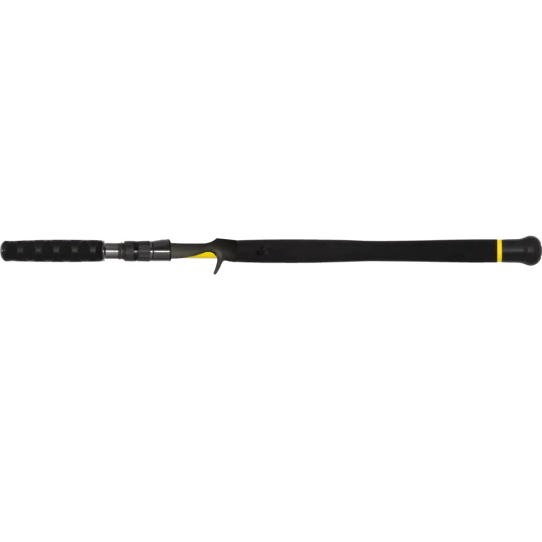 ENSEMBLE  BLACK CAT CANNE FREESTYLE PRO CASTING 220 + MOULINET CAST 301 LH