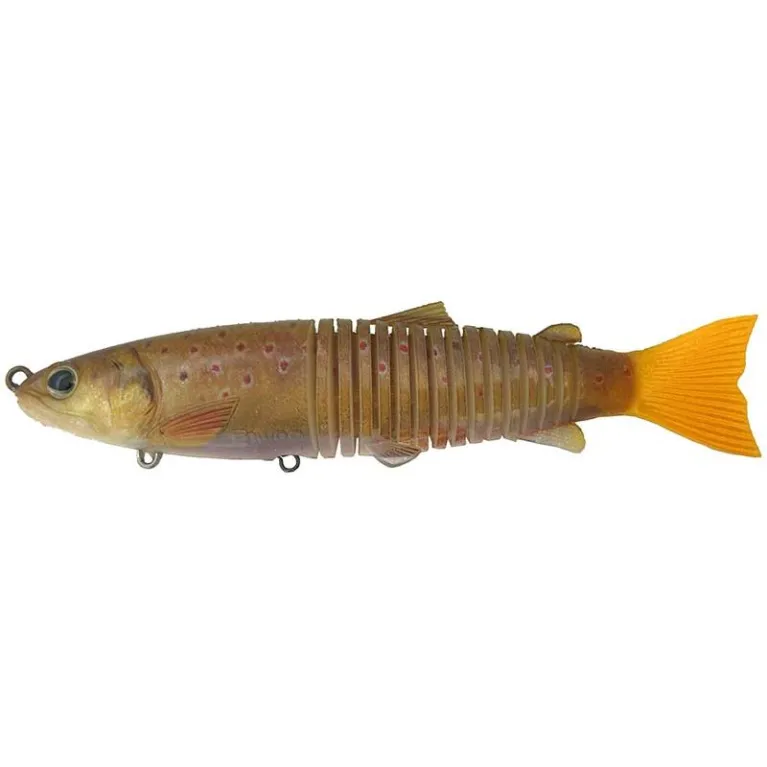 Leurre Souple Biwaa S'Trout Soft 200 – 20 cm 100 g