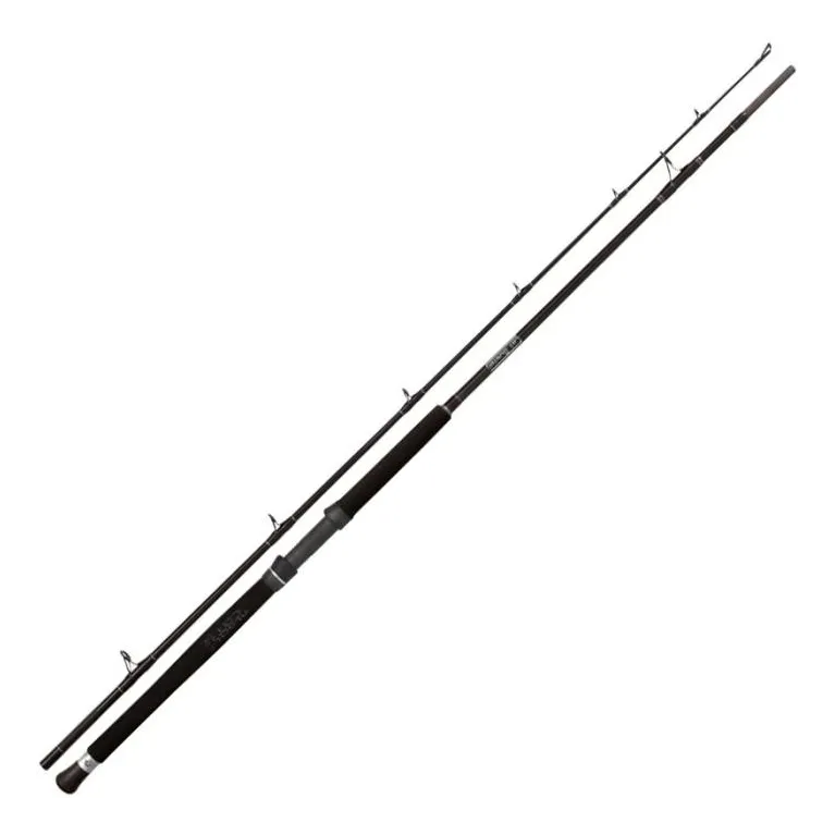 Black Cat Cat Buster 3,00 m – Canne silure 300-500 g