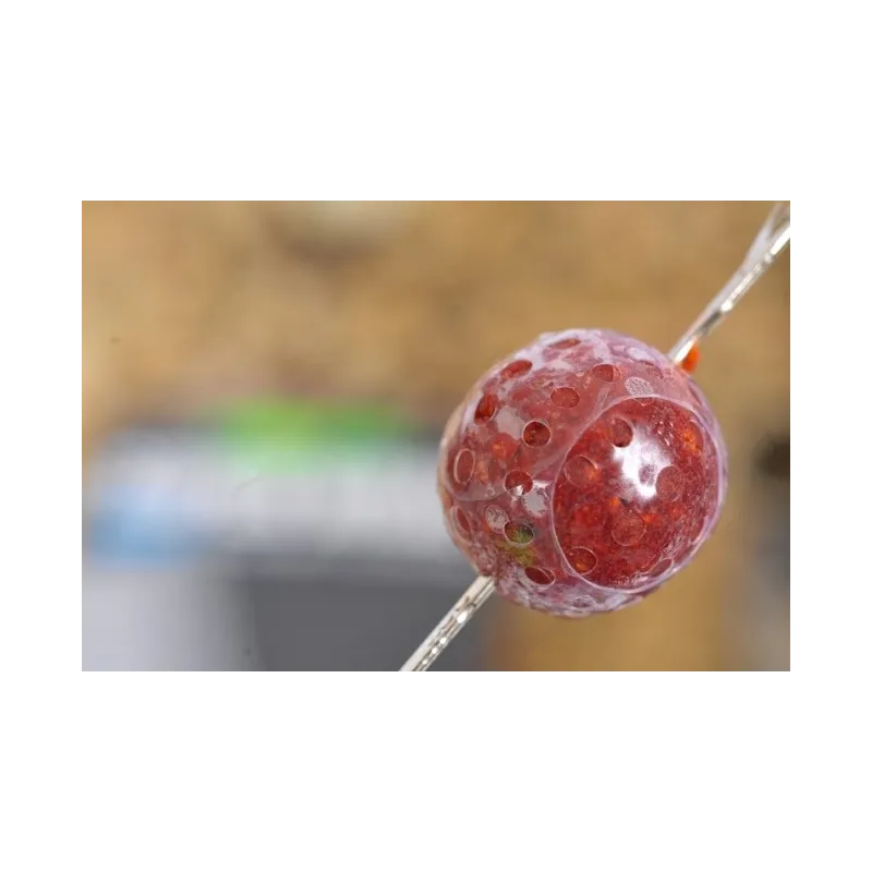 Korda Super Wrap 22 mm – Gaine thermorétractable pour appâts