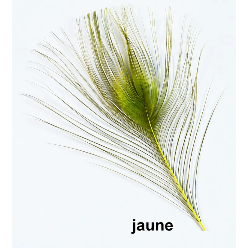JMC Quill d'Œil de Paon Jaune – Montage de Mouches