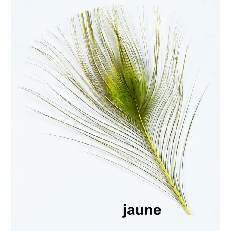 JMC Quill d'Œil de Paon Jaune – Montage de Mouches