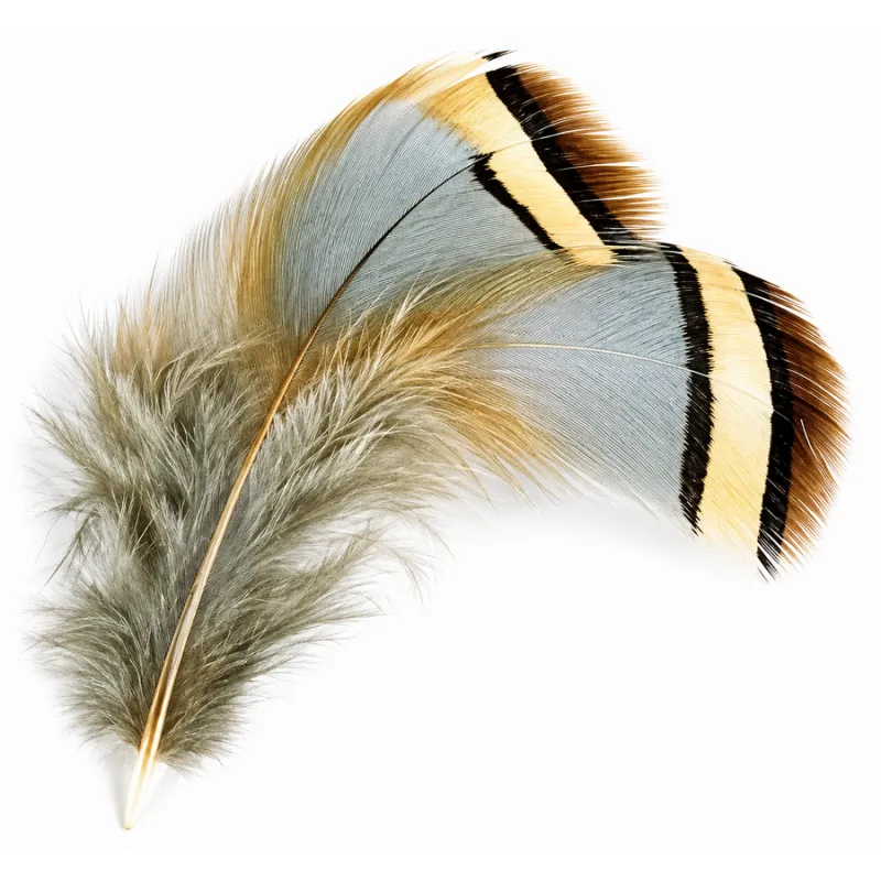 JMC Perdrix Rouge Naturel – Plumes pour Montage de Mouches
