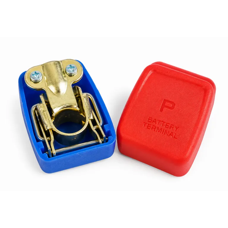 Amiaud Jeu de 2 Cosses de Batterie à Connexion Rapide