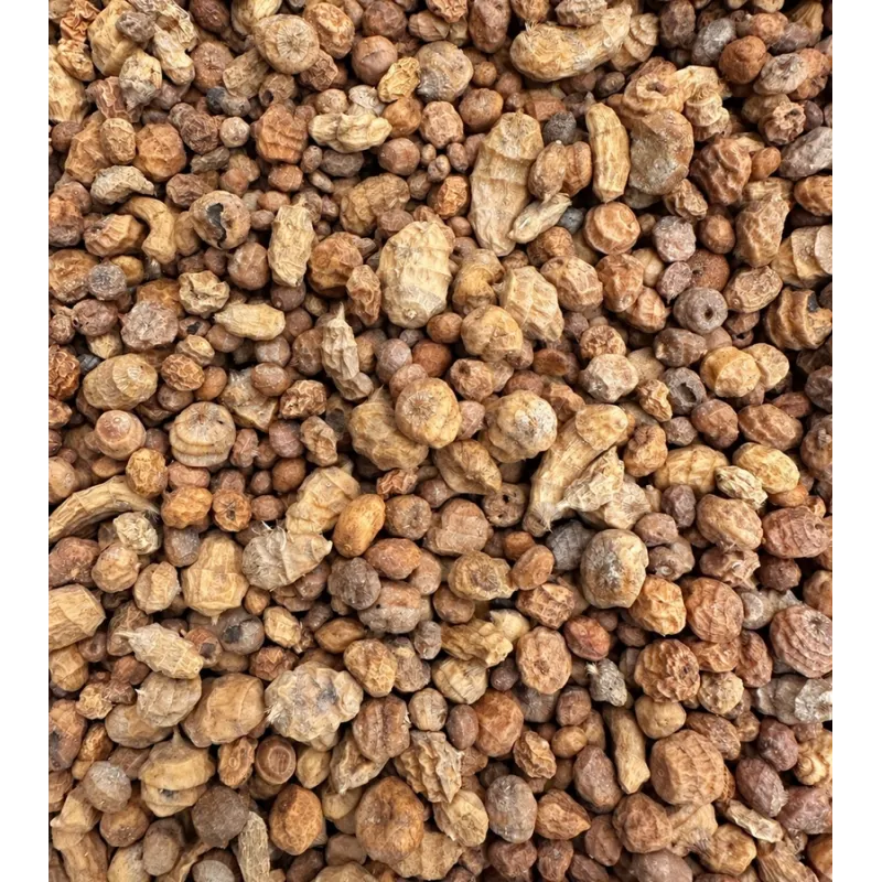 Starbaits Tigernuts – Noix Tigrées pour la Pêche de la Carpe – Seau 5 kg