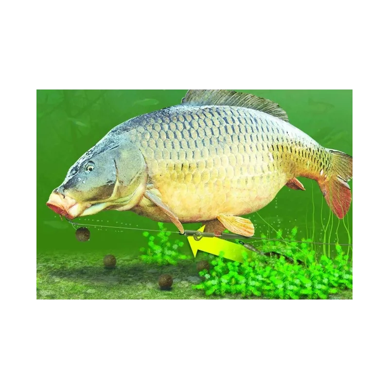 Korda Tail Rubbers Clay – Manchons pour Lead Clip