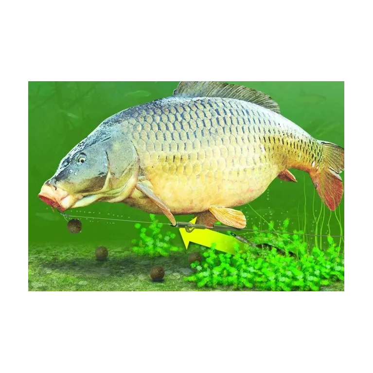 MANCHON CLIP PLOMB TAIL RUBBERS KORDA WEEDY GREEN MANCHON CLIP PLOMB TAIL RUBBERS KORDA WEEDY GREEN