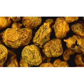 NOIX TIGREE TIGERNUTS AMORCAGE SENSAS SEAU 2 KG