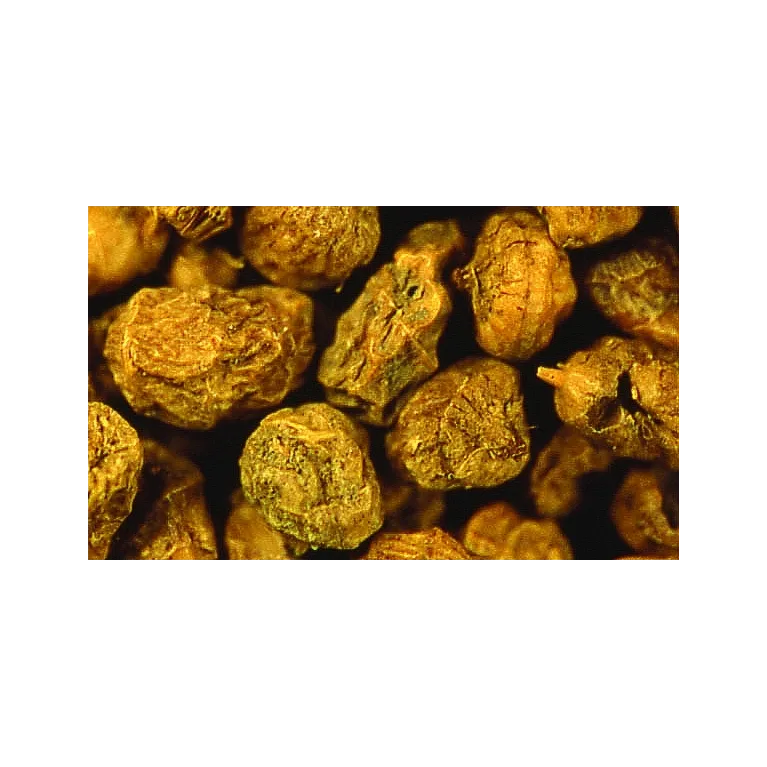 NOIX TIGREE TIGERNUTS AMORCAGE SENSAS SEAU 2 KG NOIX TIGREE TIGERNUTS AMORCAGE SENSAS SEAU 2 KG