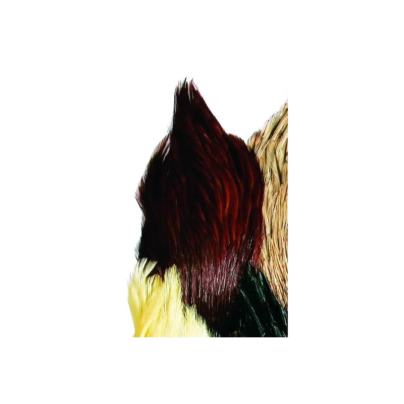 JMC Cou Indien Top Grade N°01 – Plumes pour Montage de Mouches