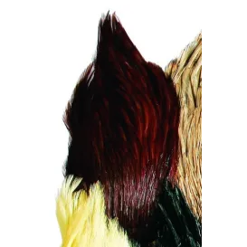 JMC Cou Indien Top Grade N°01 – Plumes pour Montage de Mouches