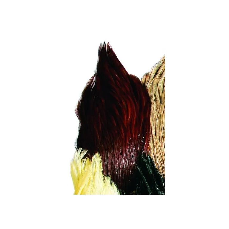 JMC Cou Indien Top Grade N°01 – Plumes pour Montage de Mouches