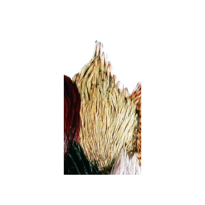 JMC Cou Indien Top Grade N°02 Badger – Plumes pour Montage de Mouches