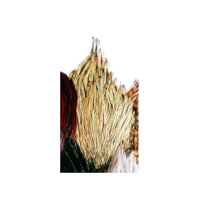 JMC Cou Indien Top Grade N°02 Badger – Plumes pour Montage de Mouches