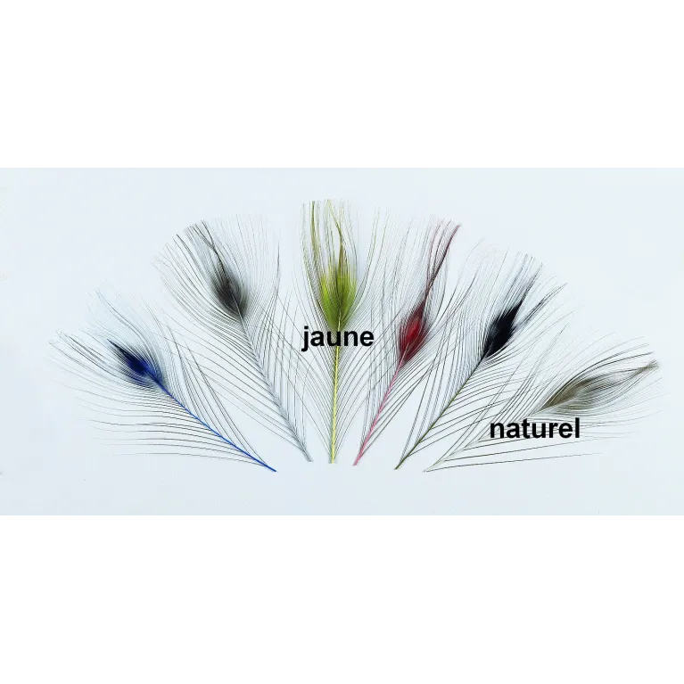 QUILL D'OEIL DE PAON EBARBE JMC