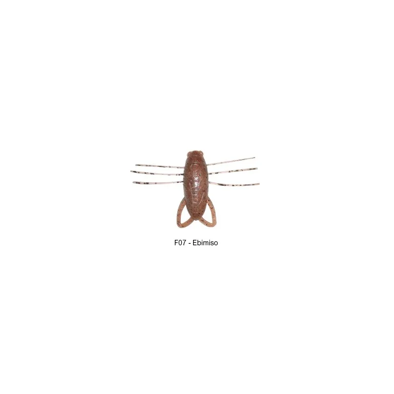 Reins Insecter 1.6" – Leurre insecte flottant 40 mm