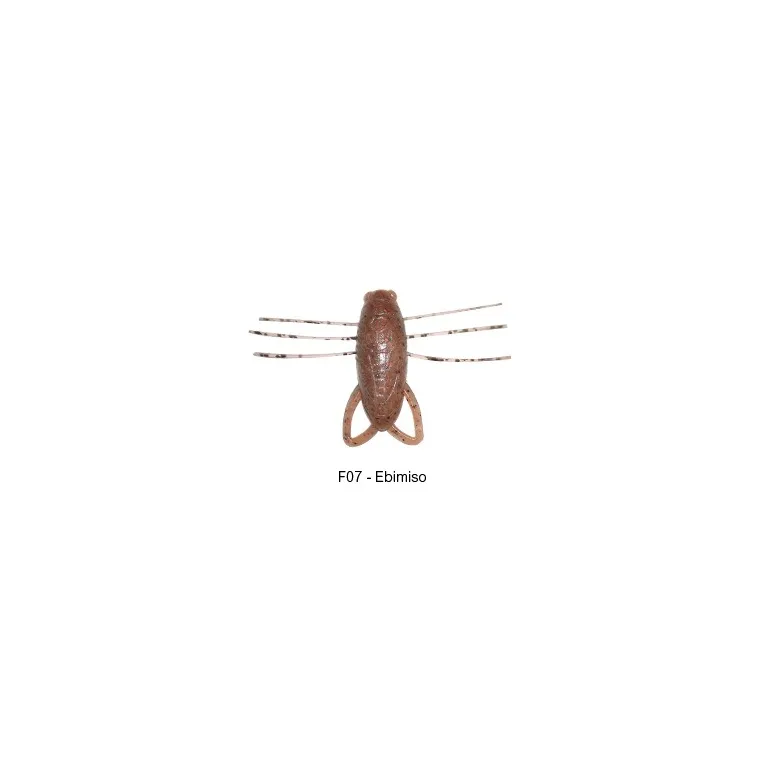 Reins Insecter 1.6" – Leurre insecte flottant 40 mm