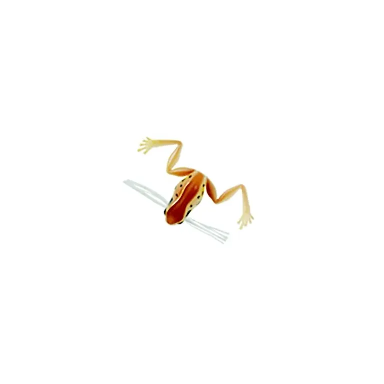 Harima Namagaeru 3 cm – Leurre grenouille 3 g