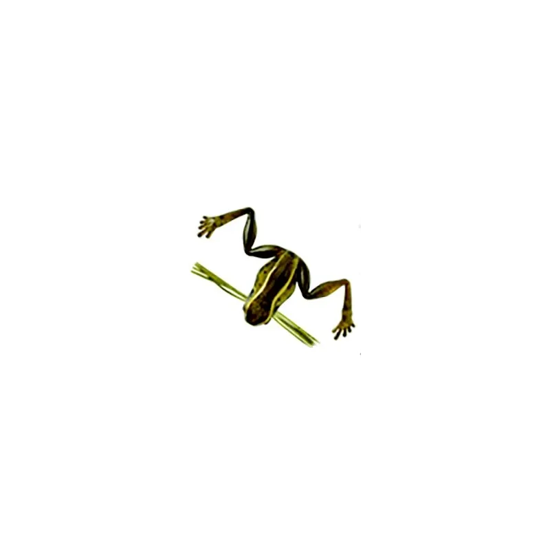 Harima Namagaeru 3 cm – Leurre grenouille 3 g