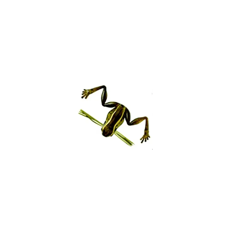 Harima Namagaeru 3 cm – Leurre grenouille 3 g